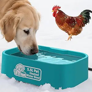 IPOW Pet Heated Water Bowl - 5.5L Extra-Large Rectangular Outdoor Durable Outdoor Dog Bowl with Anti-Chew Cord, Keep Water Warm at 77-95℉ for Cats & Dogs, BPA-Free, Spill-Proof, Blue