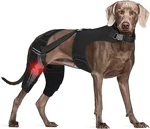 Dog Knee Brace Back Leg, Adjustable Dog Leg Brace with 4 Stabilizers, Hip Support to Reduces Pain, Ligament Injuries & Luxating Patella & ACL CCL for Small Medium Large Dogs (XX-Large)