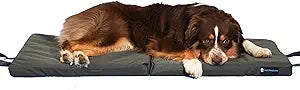 Blue-9 Pet Products Restore+ Double Dog Bed, Durable, Water Resistant, and Washable Design, 24†x 48â€