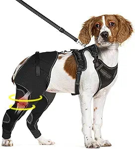 Dog Hind Leg Brace - Support for Pets with ACL Injuries, Keeps Knee Joints Warm and Stable, Adjustable Dogs Rear Leg Wrap Harness Personalized Set for Leg Wound Care Prevents Licking, M
