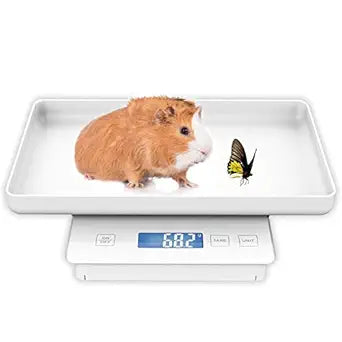 11lbs/0.1g Pet Scale for Small Animal, Whelping Scale, Guinea Pig Weighing Scale, High Precision 0.003oz, Suitable for All Newborn Pets, Kittens, Turtles,