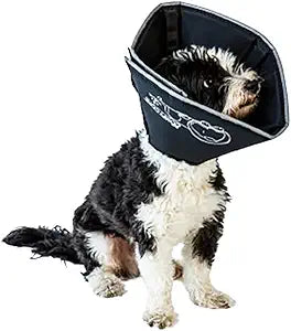 All Four Paws Comfy Cone Pet Cone for Dogs, Cats, Large, Black - Comfortable Soft Dog Cone Collar Alternative for After Surgery, Wound Care, Spay, Neuter - Dog and Cat Recovery Elizabethan-Collar