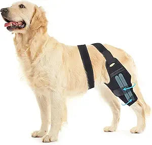 Dog Knee Brace, Torn ACL Hind Leg Support, Rear Stability for CCL Injury Recovery & Hip Dysplasia, Adjustable Joint Wrap for Small Medium Large Pets(Right, 2XL)