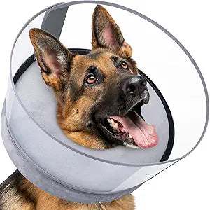 BARKLESS Dog Donut Collar, 2-in-1 Inflatable Dog Collars for After Surgery to Stop Licking Wounds, Patented Protective Donut Cone with Higher Shield for Large Pets (Grey, XXL)