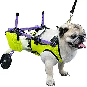 pet Wheelchair for Back Legs,Suitable for Back Legs,Cart Doggy Wheelchair for Disabled Legs Walking Mobility,Cat/Dog Hip Brace Leg Support