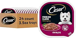 Cesar Filets in Gravy, Adult Wet Dog Food, Prime Rib Flavor, Wet Food for Dogs, 3.5 oz Trays, 24 Count