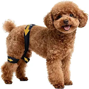 Aeegee Dog Hip Orthotics Brace, Dog Leg Brace for Hip Dysplasia, Dog Hip Brace for Pain Relief, Prevents Hip Joint Issues, Back Leg limping (M)