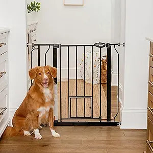 Carlson Extra Wide Walk Through Pet Gate with Small Pet Door, Includes 4-Inch Extension Kit, Pressure Mount Kit and Wall Mount Kit, Black