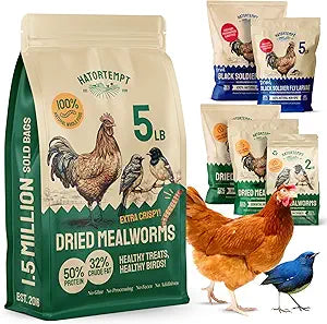 Hatortempt Dried Mealworms - Non-GMO & Organic - High-Protein Mealworms for Wild Bird Food, Ducks & Chickens (5lb)