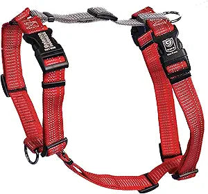Blue-9 Reflective Buckle-Neck Balance Harness, Fully Customizable Fit No-Pull Harness with 3M Reflective Stitching, Ideal for Dog Training and Obedience, Made in The USA, Red, Medium/Large