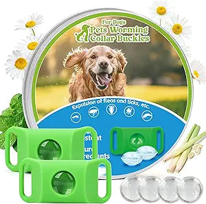 Natural Dog Tag for Flea & Tick Prevention â€“ Waterproof Collar Pendant 2Pack with 4 Extra Refills, Safe for All Breeds, Collar Not Included,Green