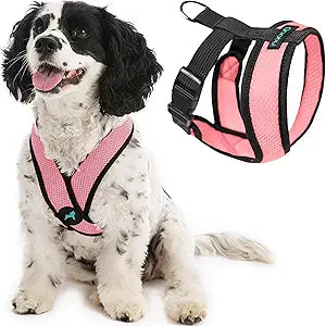 Gooby Comfort X Head-in Harness â€“ Small Dog Harness for Toy Breeds (5â€“9 lbs), Pink, Small