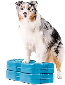 Blue-9 Propel Air Platform Kit, Professionally Designed Dog Training Accessories and Pet Products, Made in The USA, 2-Pack, Turquoise