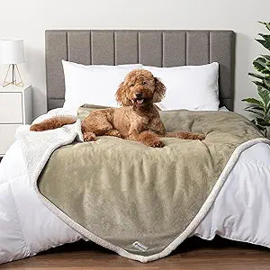 PetAmi Waterproof Dog Blanket for Queen Bed Large XL Dog Throw for Couch Cover Leakproof Furniture Protection, Sherpa Fleece, Reversible Soft Washable 90x90 Taupe