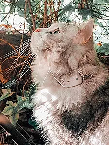 Cat Tracker RF Finder Longest Range up to 1600 ft lightest pet Safety Tracking Device only 0.28oz Small Pets Dog Girafus Pro-Track-tor Pet Tracker