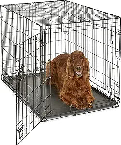 Midwest Homes for Pets Single Door Folding Metal 42-Inch Dog Crate, Enhanced Security, Includes Leak-Proof Pan & Divider Panel, for Large-Sized Breeds