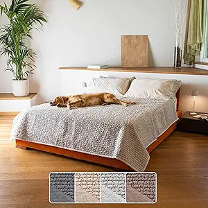 PAULATO BY GA.I.CO. Waterproof Blanket for Bed â€“ Queen Absorbent Couch Cover â€“ Machine Washable Stain-Proof Pad for Large Sofa â€“ Pets Dogs & Cats Friendly Protector - Light Grey